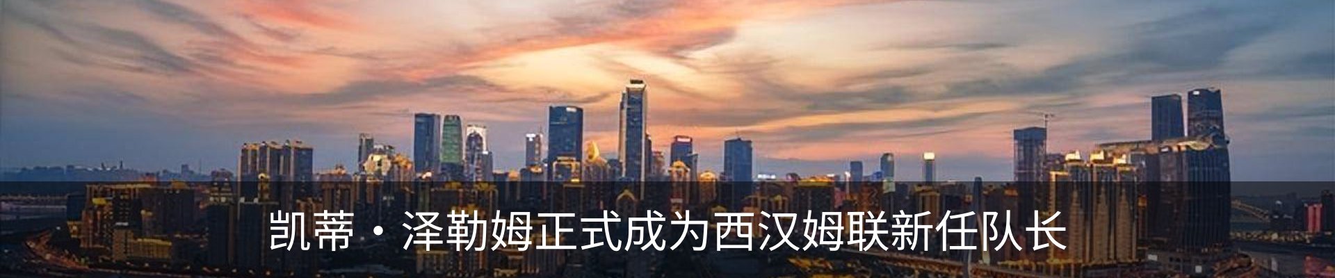 最新动态